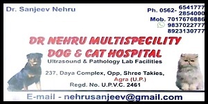 Dr. Nehru MultiSpeciality Dog & Cat  Hospital I Best Dog Hospital In Agra -Fains Bazaar